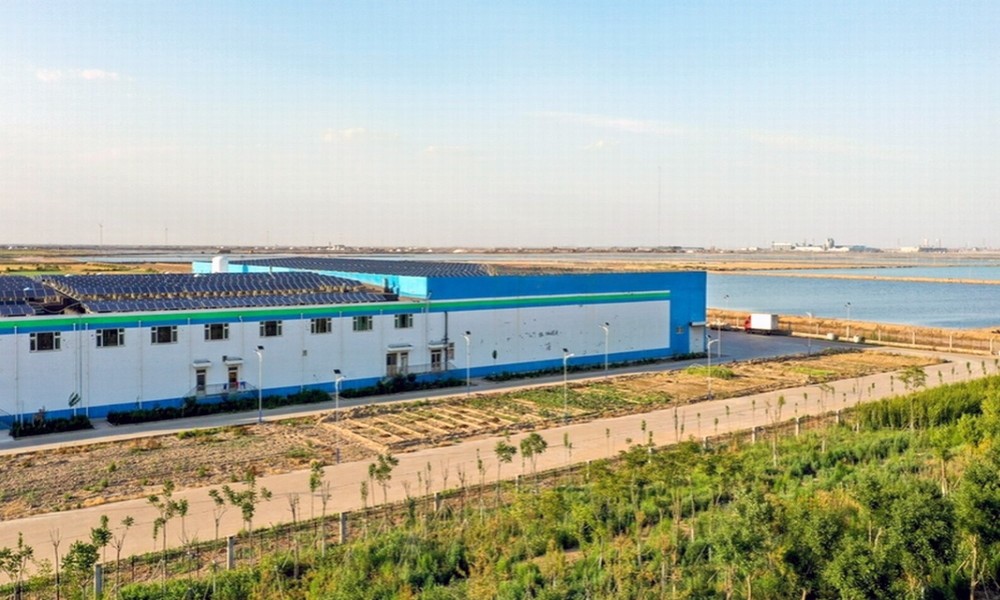 Light Steel Structure Food Processing Factory Project Cases1-2